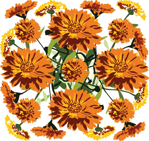 Marigold flores vetor ilustração — Vetor de Stock