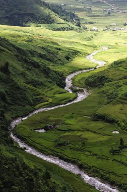 Pirinç alan Vadisi'nde Bac evlat, Lang evlat, Vietnam 