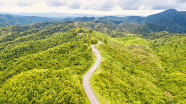 Sonbaharda günbatımında güzel ormandaki hava manzaralı yol.