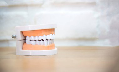 Anatomik diş fırçaları ve beyaz sırt grubunda diş ipi gösterimi için izole edilmiş diş modeli