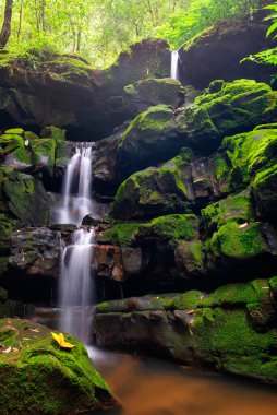 Uttaradit, Tayland 'daki Phu Soi Dao' da sonbahar ormanlarında yeşil yosun taşının üzerinde kırmızı akçaağaç yaprakları olan şelale.