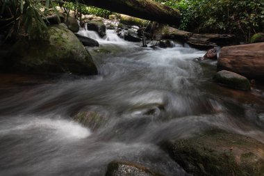 Phu Soi Dao Ulusal Parkı, Uttaradit, Tayland Şelalesi