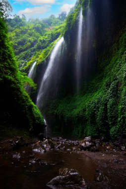 Bu inanılmaz şelale, Endonezya 'nın Doğu Java kentindeki Madakaripura şelalesinin çok yüksek kayalıkları arasında yer almaktadır.