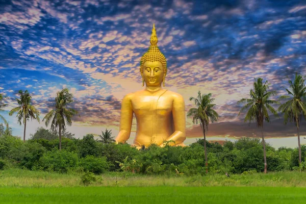 Wat Muang Zlacenou Obří Sochou Buddhy Thajsku — Stock fotografie