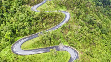 Uçsuz bucaksız önlüklerin yeşil çam ağaçları arasında muhteşem bir yol.