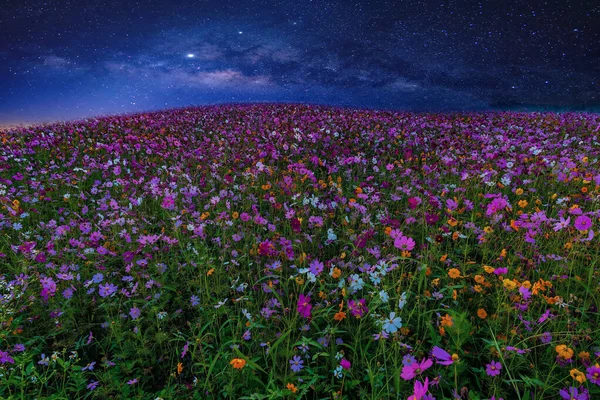 Fantastisk Vacker Natthimmel Vintergatan Galaxy Vackra Vintergatan Galax Lång Exponering — Stockfoto