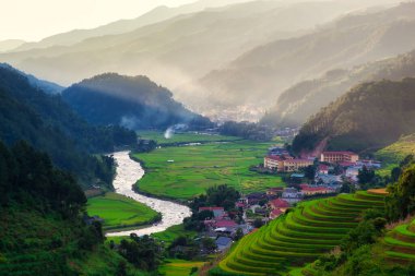 Sapa, Vietnam 'da pirinç mevsiminde teraslı pirinç tarlası, yumuşak odaklı. 