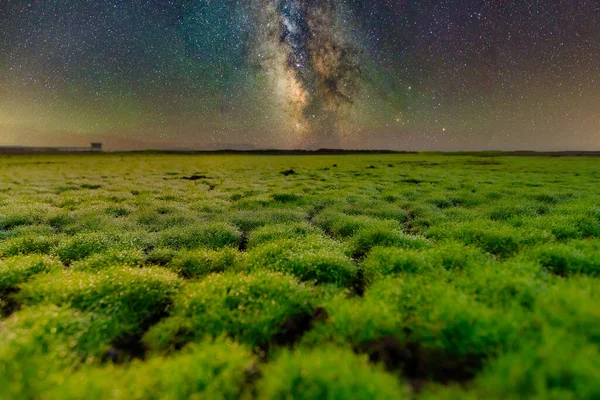 Vintergatan Vintergatan Och Några Träd — Stockfoto