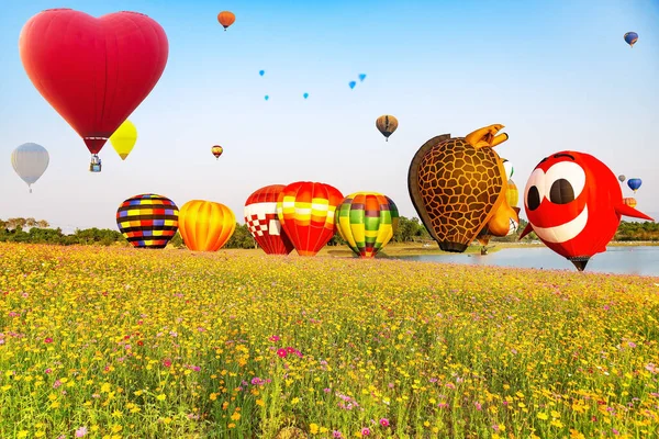 Rosa Cosmos Flower Field Flores Colores Globo Aire Caliente Para — Foto de Stock