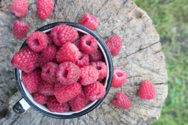 ormanda bir ağaç üzerinde Kupası ahududu güdük
