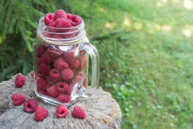 Ahududu ormandaki bir ağaç kütüğü üzerinde Cam Kavanoz