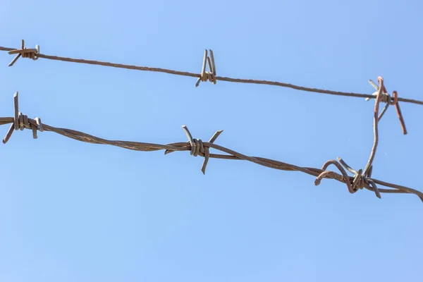 Alambre de púas en el cielo —  Fotos de Stock