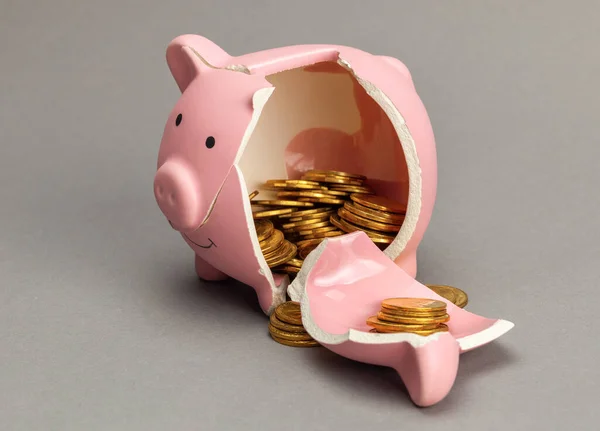 Broken piggy bank with coins inside on gray background — Stock Photo, Image