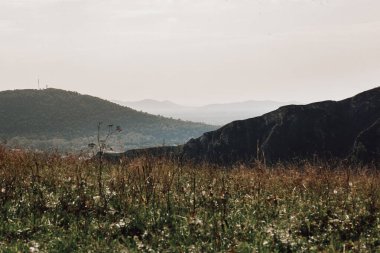 manzara güneşli havada Ural dağları