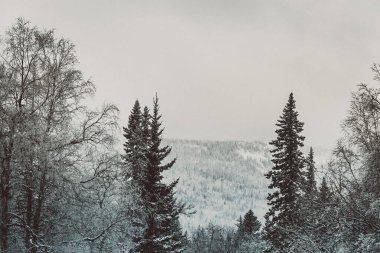 Dağlarda kış. Dağların tepesinde kar var. Serbest bırak. ekstrem spor dağları 