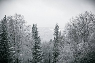 Dağlarda kış. Dağların tepesinde kar var. Serbest bırak. ekstrem spor dağları 