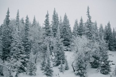Dağlarda kış. Dağların tepesinde kar var. Serbest bırak. ekstrem spor dağları 