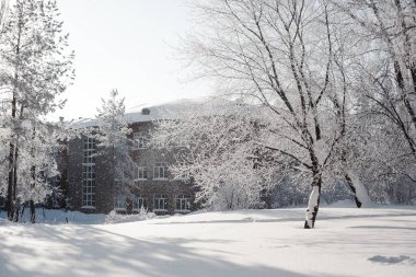 Şehirde güzel, karlı bir kış, kristal berrak taze kar.