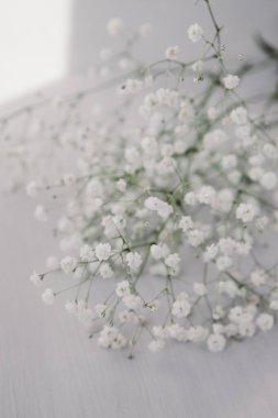 Hafif ahşap zemin üzerinde küçük narin beyaz çiçekler