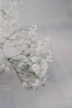 Hafif ahşap zemin üzerinde küçük narin beyaz çiçekler