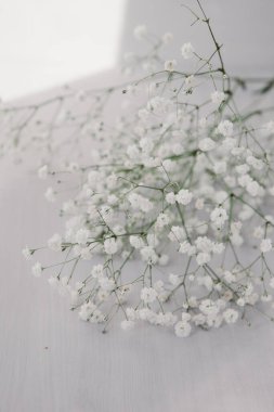 Hafif ahşap zemin üzerinde küçük narin beyaz çiçekler