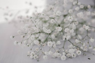 Hafif ahşap zemin üzerinde küçük narin beyaz çiçekler