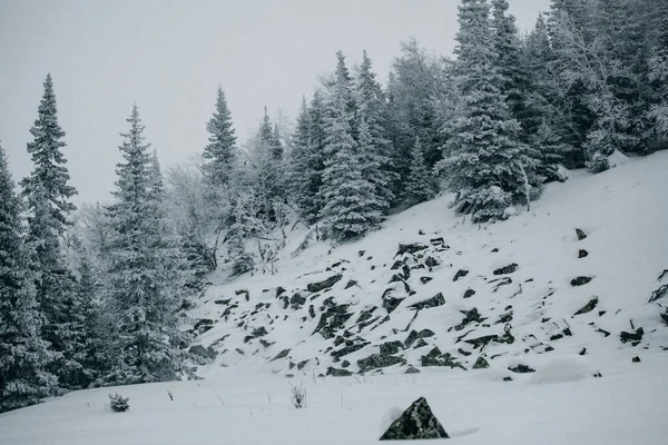 山の中の冬 山の上の雪だ 自由の身だ 極端なスポーツ山 — ストック写真