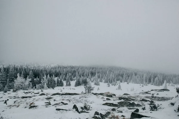 Vinter Bergen Snö Toppen Bergen Freerid Extrema Sportberg — Stockfoto