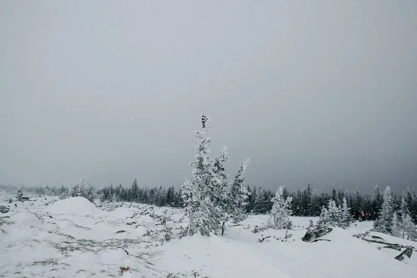 Χειμώνας Στα Βουνά Χιόνι Στην Κορυφή Των Βουνών Φρίραϊντ Ακραία — Φωτογραφία Αρχείου