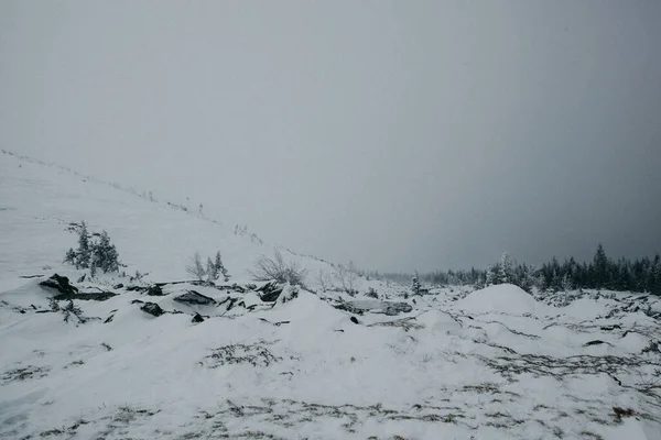 山の中の冬 山の上の雪だ 自由の身だ 極端なスポーツ山 — ストック写真