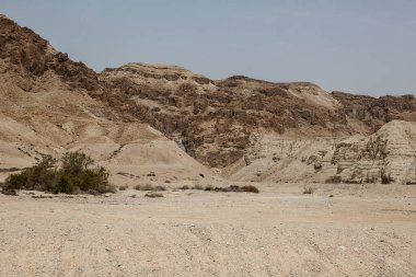 Öğleden sonra güneşinde çöl milli parkı