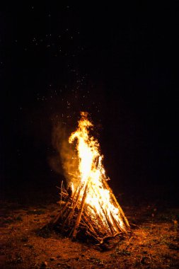 Turist kampındaki ormanda parlak şenlik ateşi
