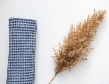 yumuşak voluminous lüks mavi havlu beyaz arka planda kuru pampa otları ile