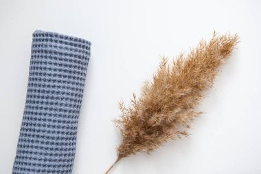 yumuşak voluminous lüks mavi havlu beyaz arka planda kuru pampa otları ile