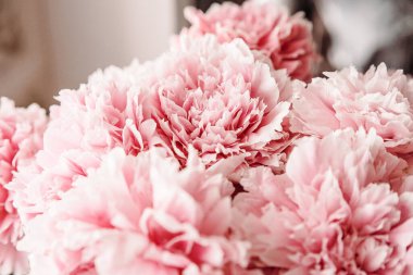 Pastel renklerde pembe şakayıklar yakın plan, çiçek deseni, klasik fotoğraf işleme