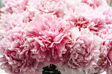 Pastel renklerde pembe şakayıklar yakın plan, çiçek deseni, klasik fotoğraf işleme