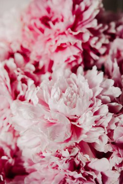 Pastel renklerde pembe şakayıklar yakın plan, çiçek deseni, klasik fotoğraf işleme