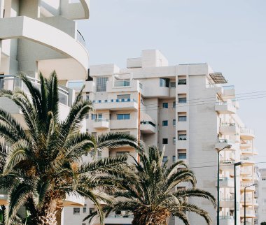 Mavi gökyüzüne karşı, palmiye ağaçları arasında birçok balkon ve penceresi olan beyaz bir bina.
