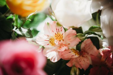 Bir buket pembe alstromerya, İnka zambakları bukette