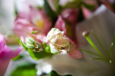 Narin bir buket pembe alstromerya ve beyaz büyük zambak.