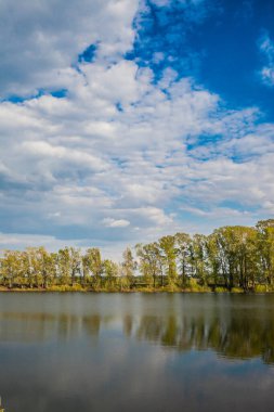 Klasik bahar manzarası, sakin bir gölün su yüzeyine yansıyan ağaçlar.