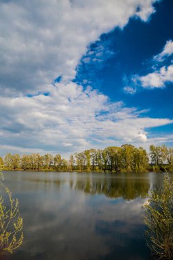 Klasik bahar manzarası, sakin bir gölün su yüzeyine yansıyan ağaçlar.