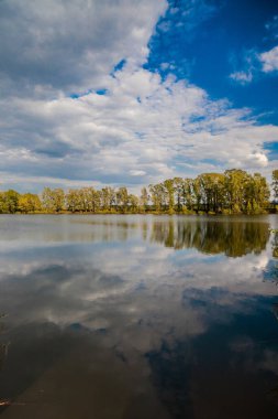 Klasik bahar manzarası, sakin bir gölün su yüzeyine yansıyan ağaçlar.