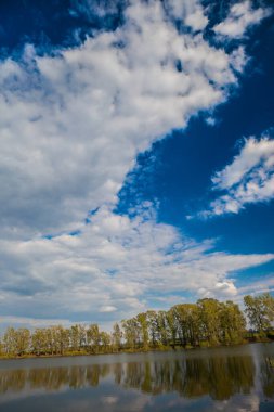 Klasik bahar manzarası, sakin bir gölün su yüzeyine yansıyan ağaçlar.