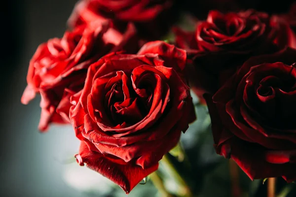 Buquê Caro Grandes Rosas Vermelhas Fotografia Low Key Noir — Fotografia de Stock