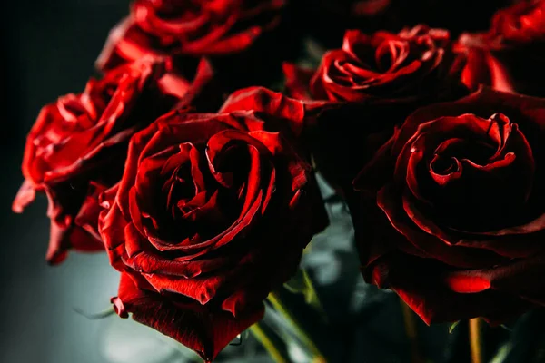 expensive bouquet of large red roses. low key photography, noir