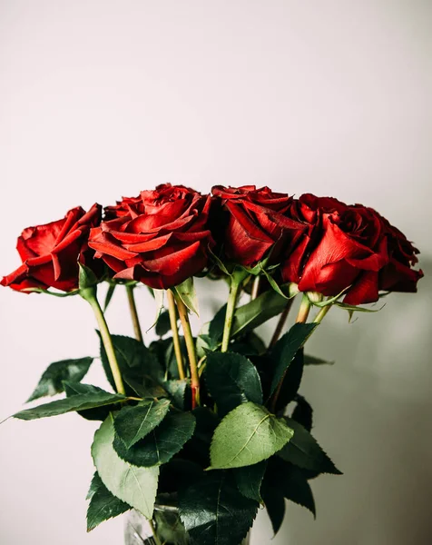 Bouquet Luxuoso Grandes Rosas Vermelhas Close Fundo Leve Escuro Fotografia — Fotografia de Stock