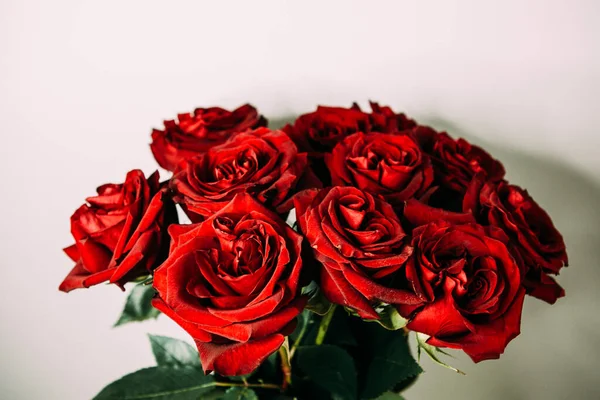 Lussuoso Bouquet Grandi Rose Rosse Primo Piano Uno Sfondo Chiaro — Foto Stock