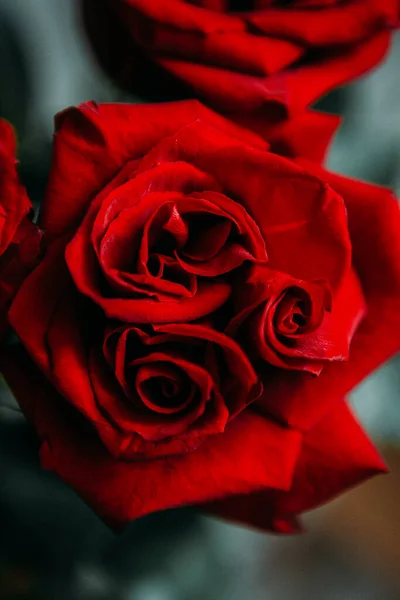 Lussuoso Bouquet Grandi Rose Rosse Primo Piano Fotografia Low Key — Foto Stock