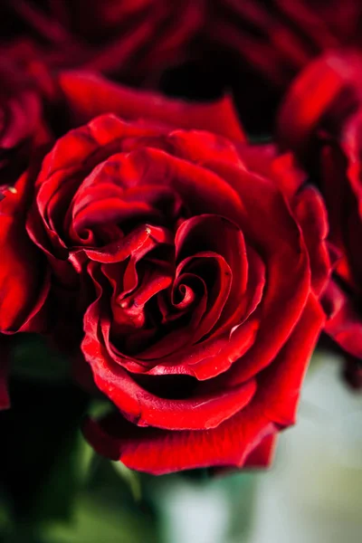 expensive bouquet of large red roses, background of many red roses